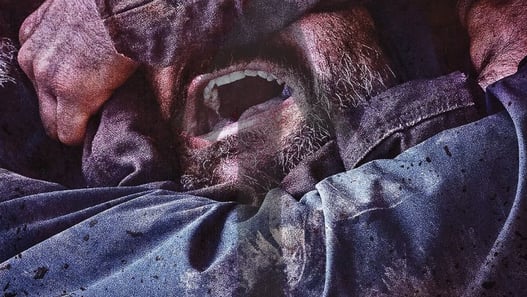 As bestas - La terra della distorsione