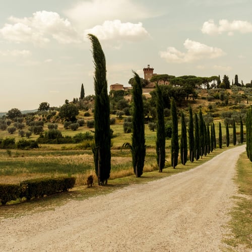 Percorso Via Francigena Toscana: guida completa