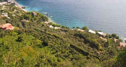 Nerano tra cibo e mare: spaghetti alla Nerano e Marina del Cantone