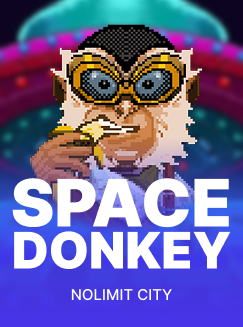 Space Donkey