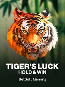 Tiger's Luck - Hold & Win