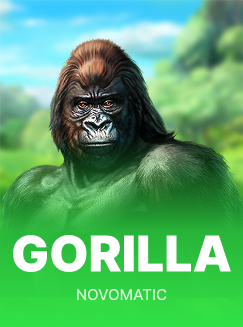 Gorilla
