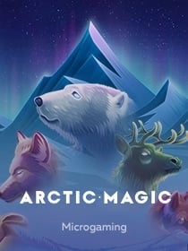 Arctic Magic
