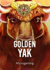 Golden Yak