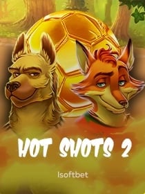 Hot Shots 2
