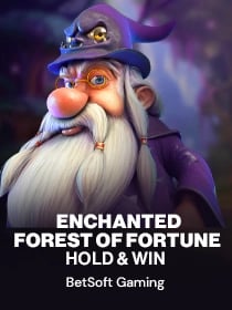 Enchanted: Forest Of Fortune