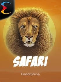 Safari