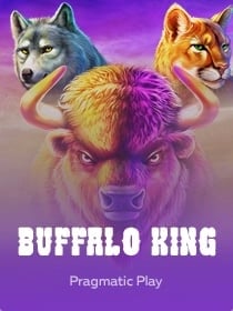 Buffalo King