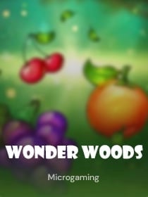 Wonder Woods