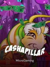 Cashapillar