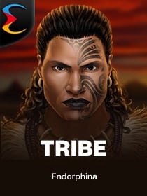 Tribe