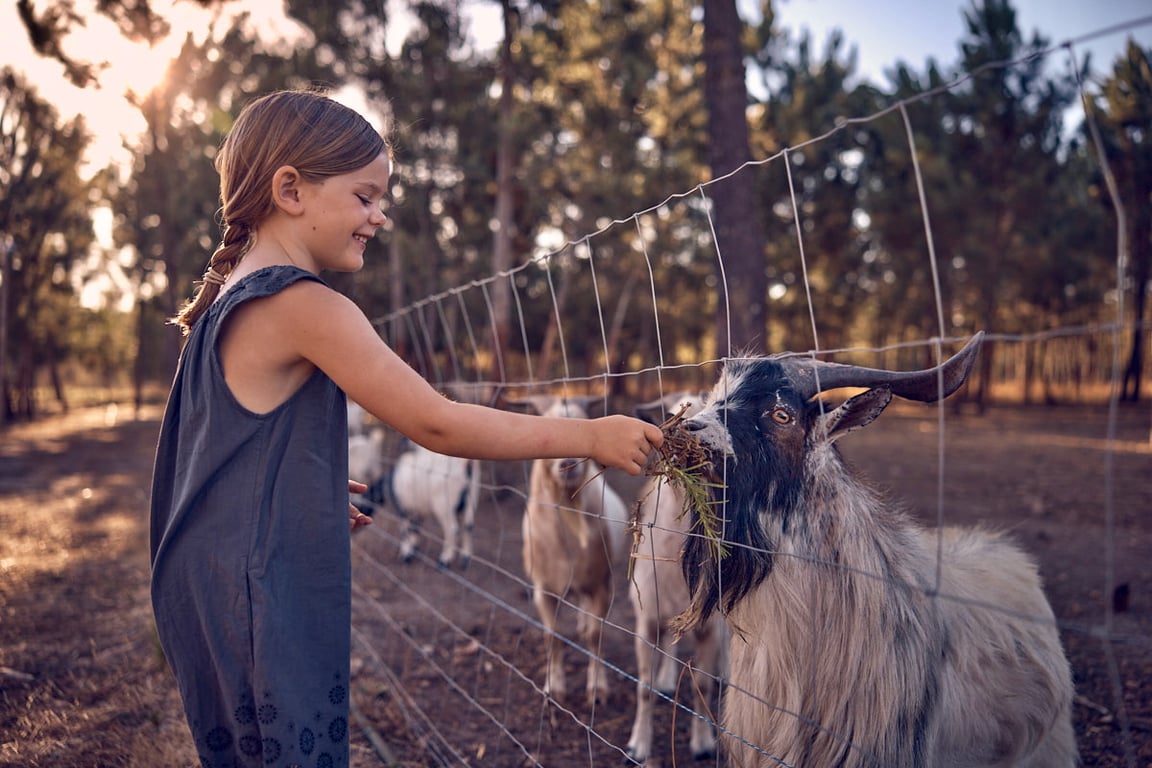 Farm life for all ages
