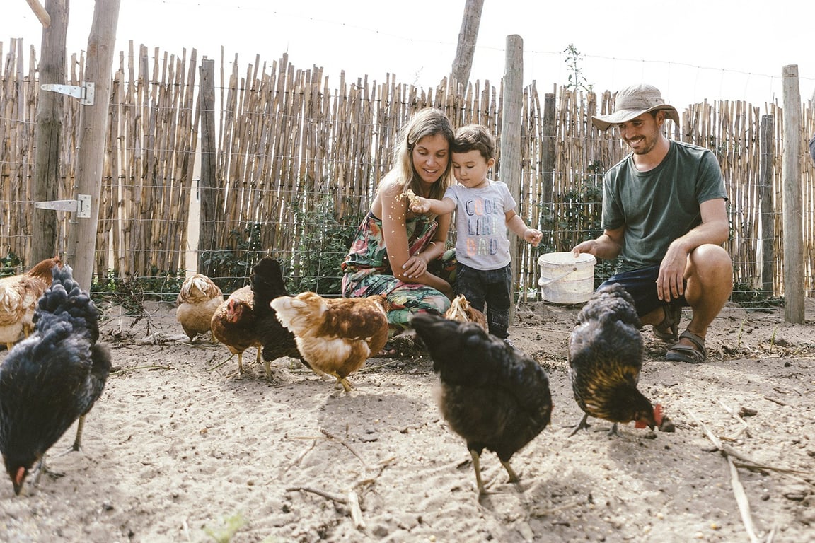 Community & Sustainability
