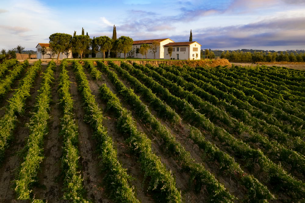 Nestled among the estate’s vineyards