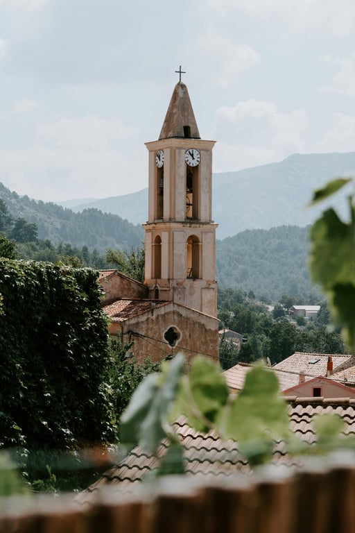 Why choose Corsica?