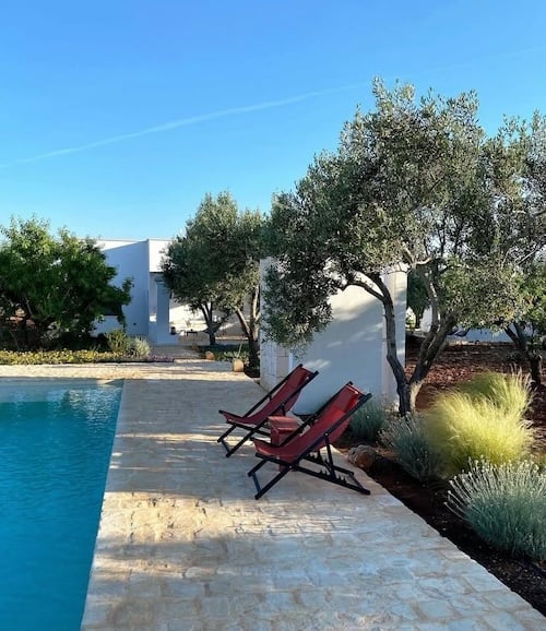 Outdoor bliss beneath olive trees