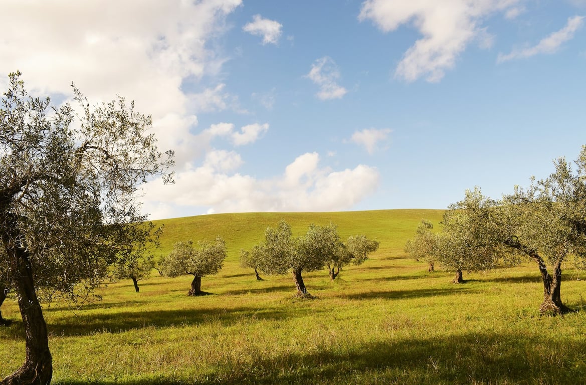 Het weer in Toscane per seizoen