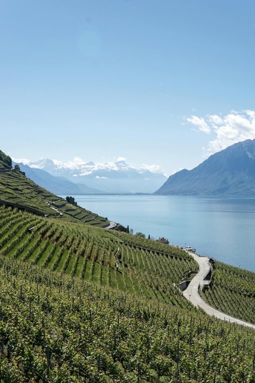 10 Things to Do in Vaud