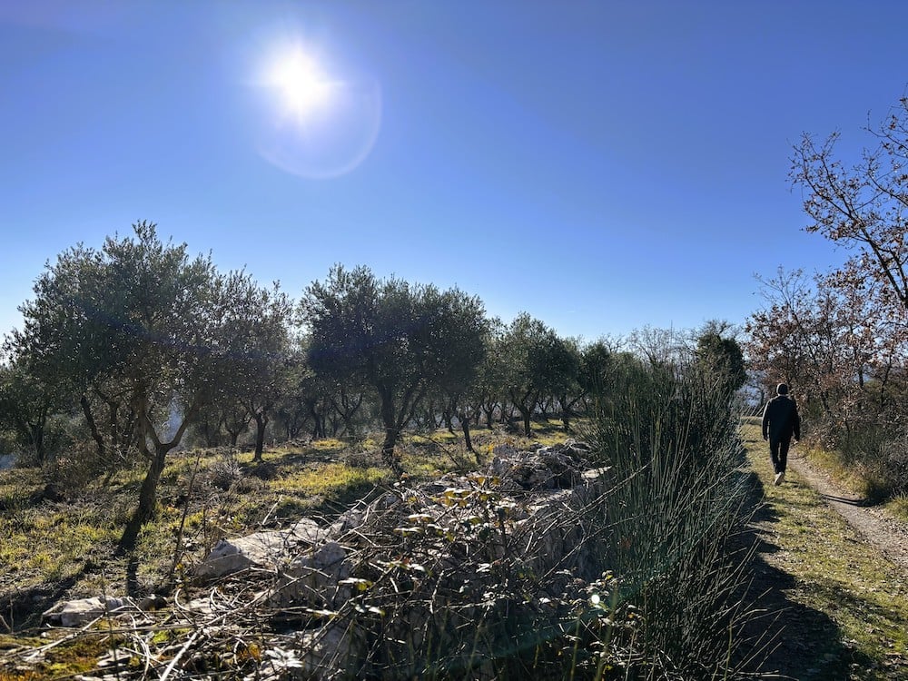 Meet the people behind the place: Bellini