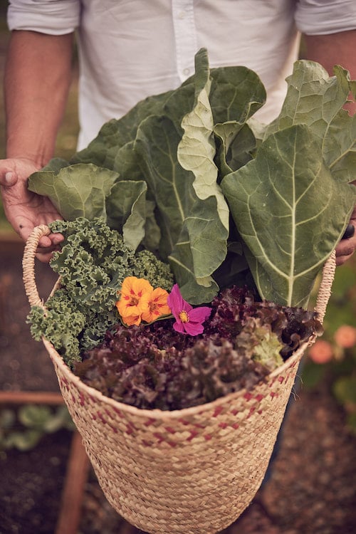 Farm-to-table dining