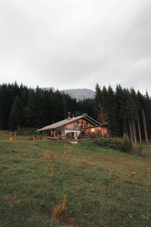 Waarom kiezen voor de Franse Alpen?