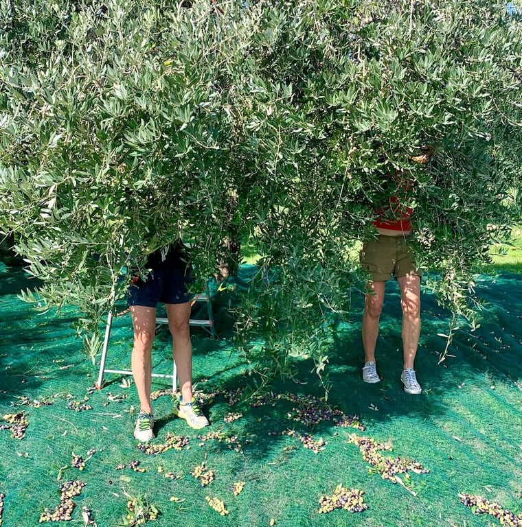 Meet the people behind the place - Casa di Fichi