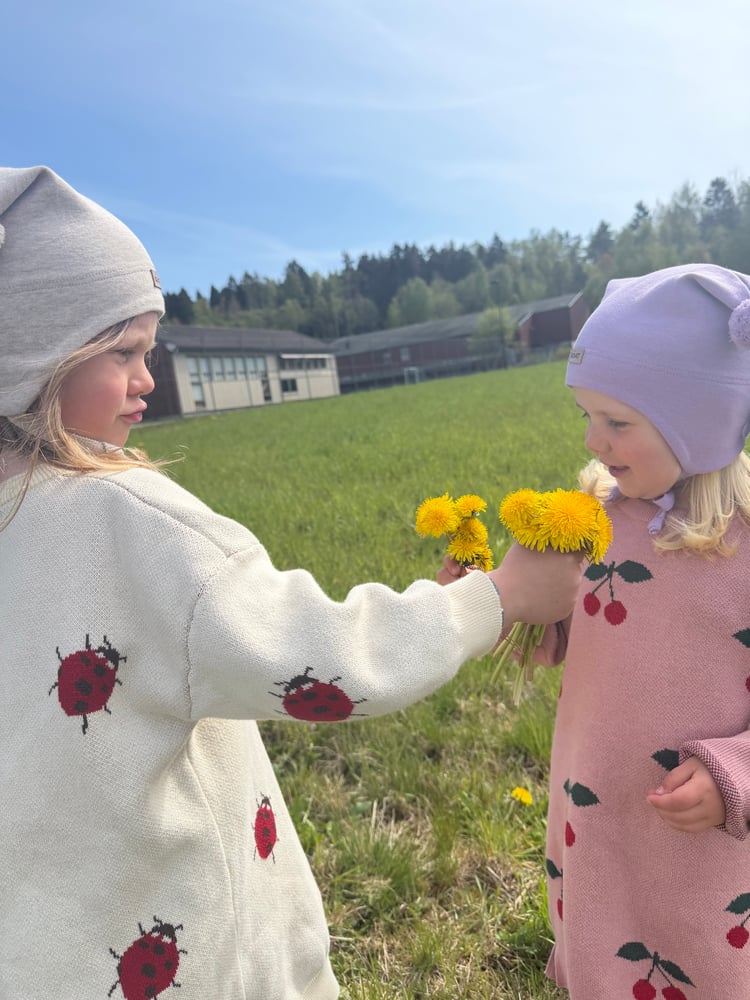 🌼Kivat luer 