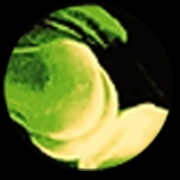 Nasseri Clinic of Arthritic & Rheumatic Diseases logo