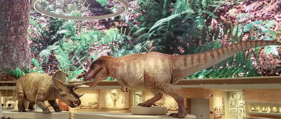 A 9-meter-tall behemoth "comes back to life"! On the opening day of the Shenzhen Natural History Museum, a biomimetic dinosaur from across the border ignited the crowd.