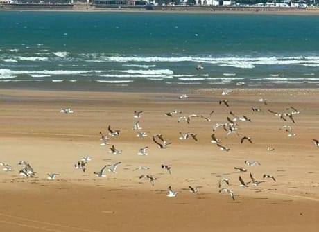 9-day cultural Morocco tour from Casablanca ( Private tour )