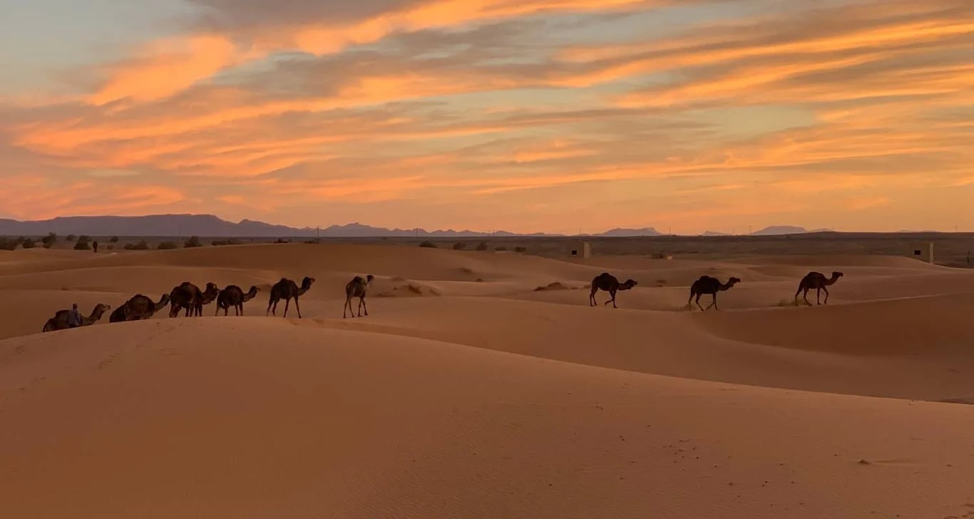 Morocco Imperial city and Sahara desert tour