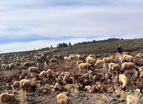 4 Days Desert Tour from Fes to Marrakech
