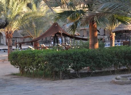 Morocco Berber Cultural Encounters