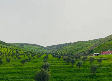 5 Days tour from Tangier to Casablanca