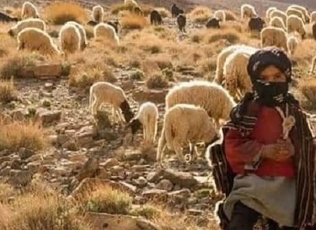 Deluxe 8-Day Private Morocco Tour from Casablanca