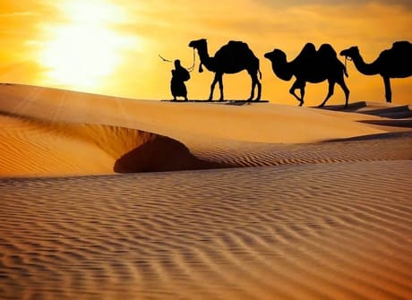 5-day Desert Tour – Sahara, Kasbahs & Canyons