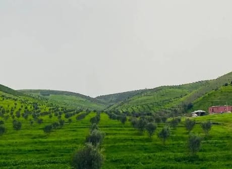 6 Days Private tour from Casablanca to Marrakech visiting Chefchaouen, Fes and Sahara desert