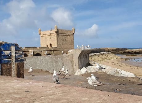 Morocco tours – Private Tour from Casablanca ( 15 Days Imperial and Desert tour)