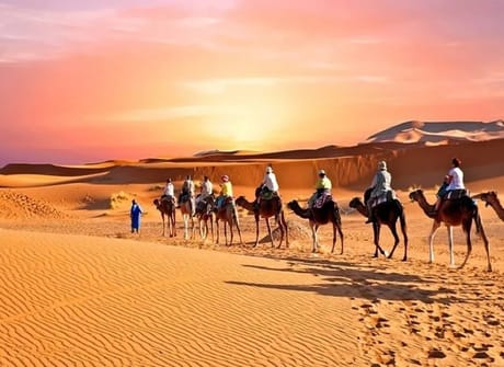 Grand Morocco Expedition: From Northern Wonders to Southern Charms