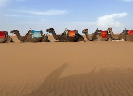 Morocco Tours – 9 Days Private tour from Casablanca
