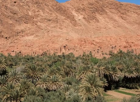 7 Day Private Tour from Marrakech visiting the Desert, Fes, and Chefchaouen