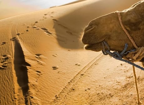 12 Days Private Tour from Agadir to Marrakech