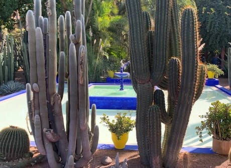 10-Day Kasbahs & Deserts of Morocco – Private tour