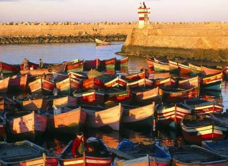 The Marrakech Express Tour