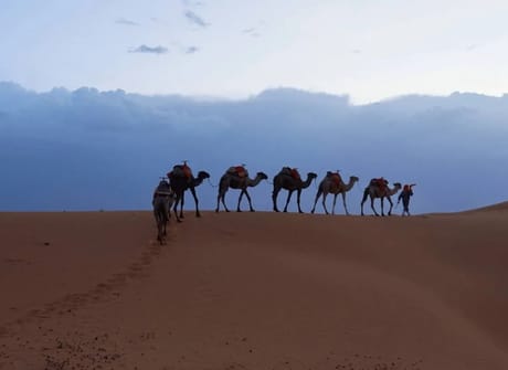 4 Days Desert Tour from Fes to Marrakech