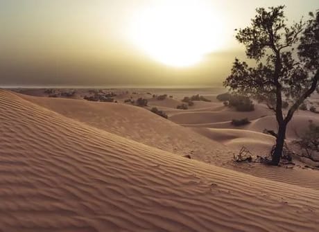 Winter Adventure in Southern Morocco – 10 Days