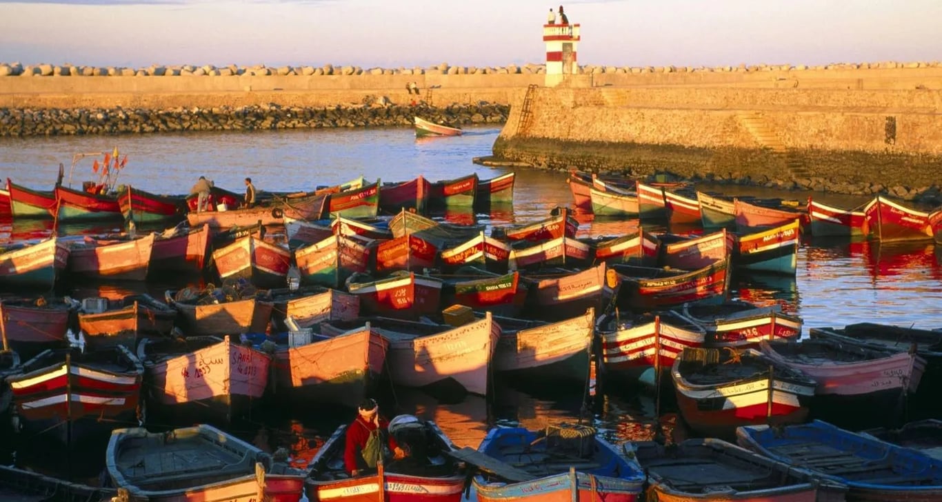 The Marrakech Express Tour