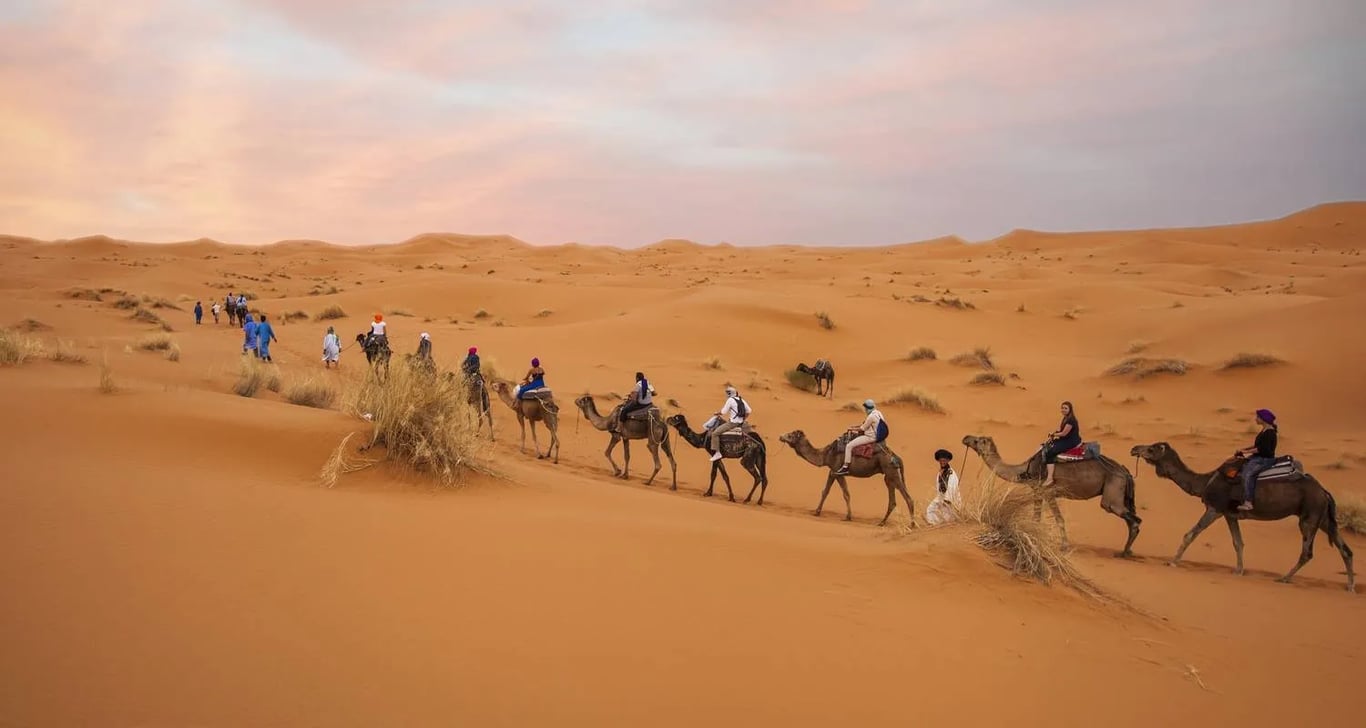 Moroccan Desert Adventure: River Canyons & Camels