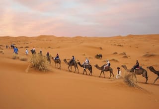 Moroccan Desert Adventure: River Canyons & Camels