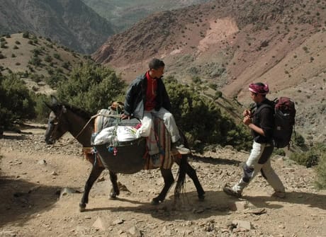 Short trips to marrakech: 2 Days Hike Overnight Berber villages – High Atlas Mountains